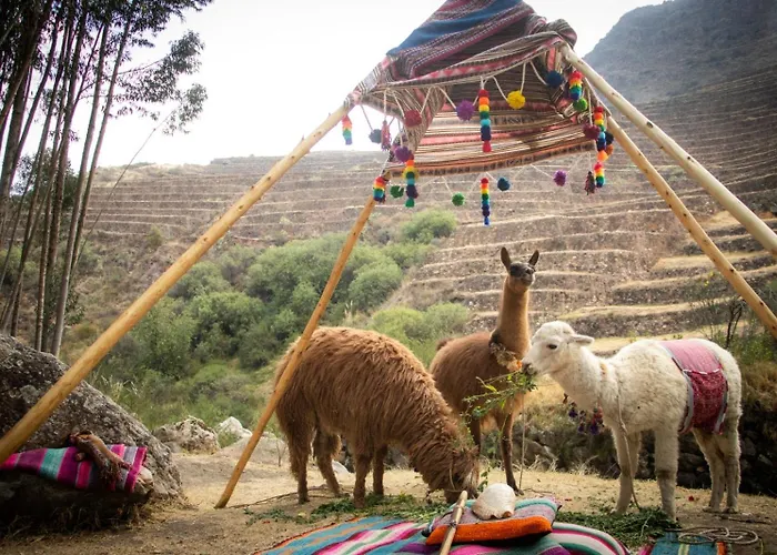 Sonidos Del Ande Wasi * Pisac