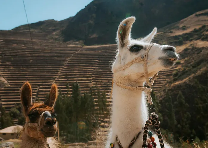 Sonidos Del Ande Wasi * Pisac